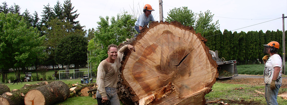 Tree Service Anaheim