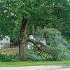 Storm Damage Tree Removal: What to Do After a Storm post image