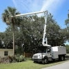 Understanding the Role of a Certified Arborist: Why It Matters post image